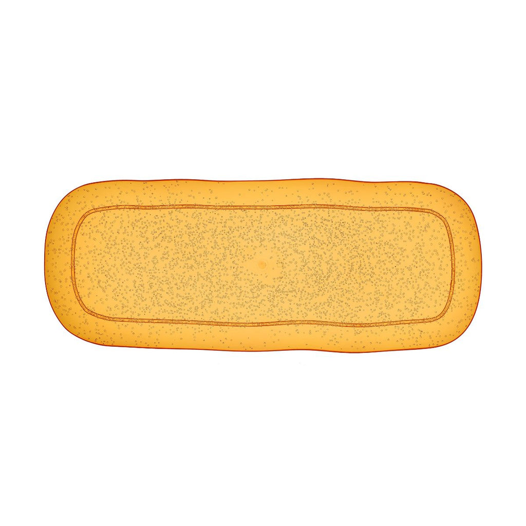 VASSOIO RETTANGOLARE GRANDE - MANDARIN - MEMENTO SYNTH