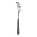 Table Fork - Solid Color Grey LD14112LK