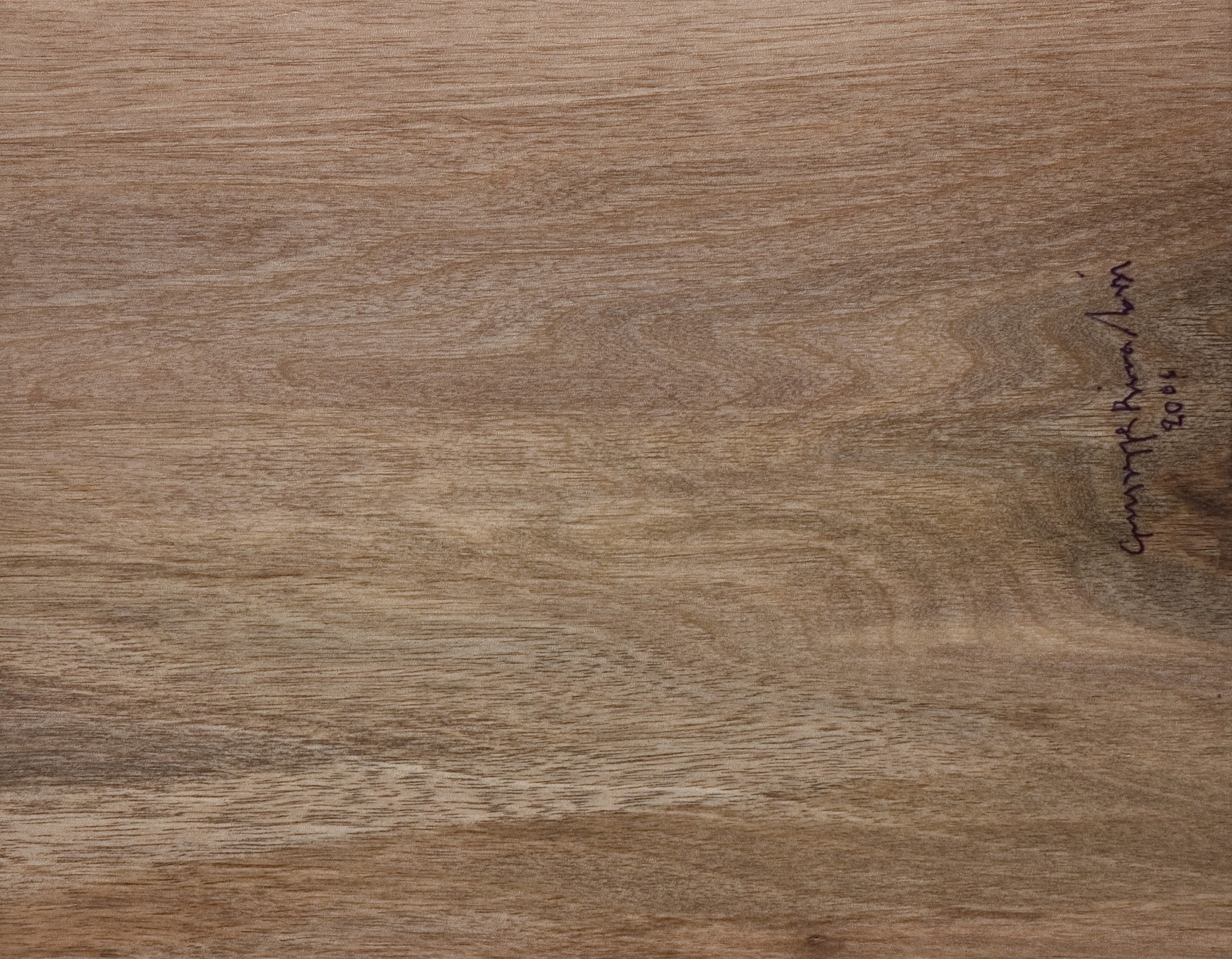 Ospiti Della Vita, custodia Rivadossi