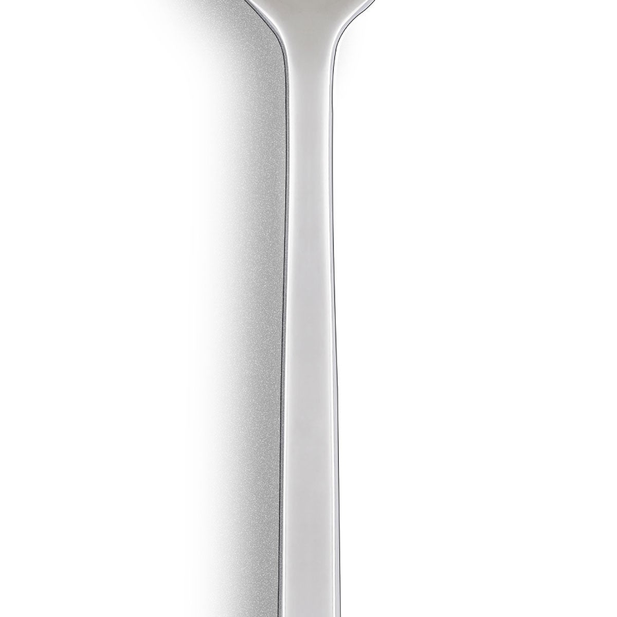 SLIM - COLTELLO PESCE - SERAFINO ZANI