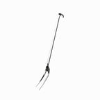 CINQUE STELLE - FORCHETTONE - SERAFINO ZANI