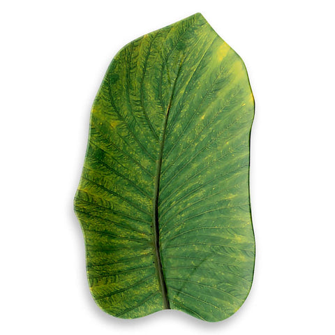 Medium leaf tray