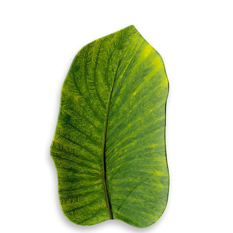 Medium leaf tray