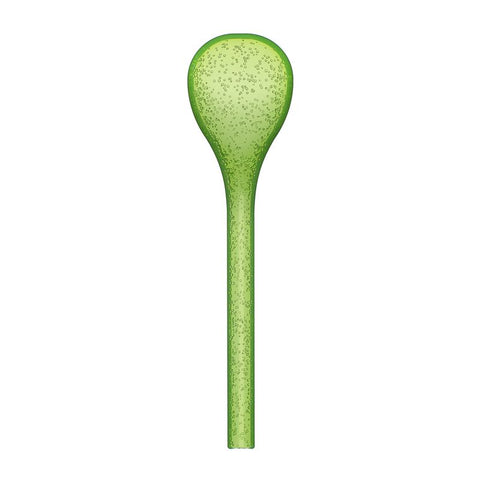 SALAD TOOLS MEMENTO SYNTH - LIME